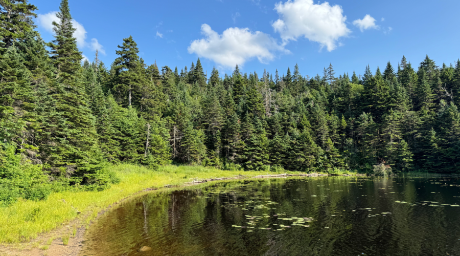 Beyond Ownership: My Journey to Launch Rentaverse and Rethink Consumerism